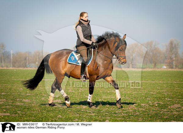 Frau reitet Deutsches Reitpony / woman rides German Riding Pony / MW-03617
