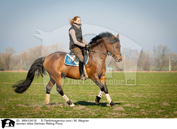Frau reitet Deutsches Reitpony / woman rides German Riding Pony / MW-03618