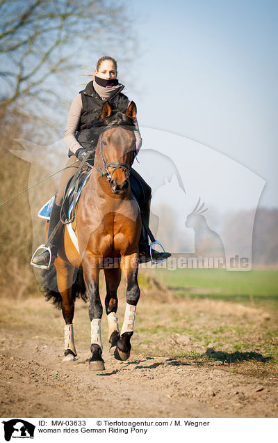 Frau reitet Deutsches Reitpony / woman rides German Riding Pony / MW-03633