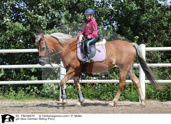 girl rides German Riding Pony / PM-06675