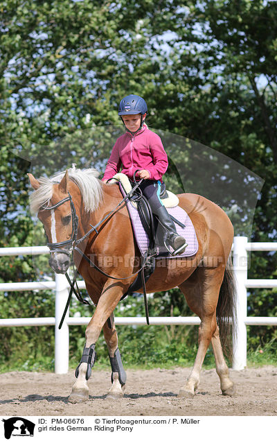 Mdchen reitet Deutsches Reitpony / girl rides German Riding Pony / PM-06676
