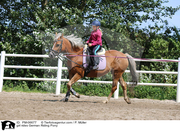 Mdchen reitet Deutsches Reitpony / girl rides German Riding Pony / PM-06677