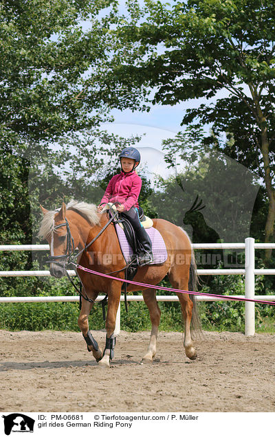 Mdchen reitet Deutsches Reitpony / girl rides German Riding Pony / PM-06681