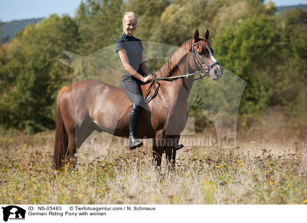 German Riding Pony with woman / NS-05483