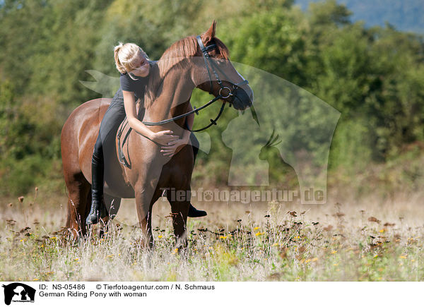 German Riding Pony with woman / NS-05486