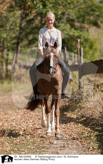 woman rides German Riding Pony / NS-05489