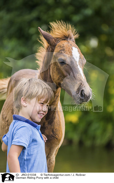 Deutsches Reitpony mit Kind / German Riding Pony with a child / JRO-01038