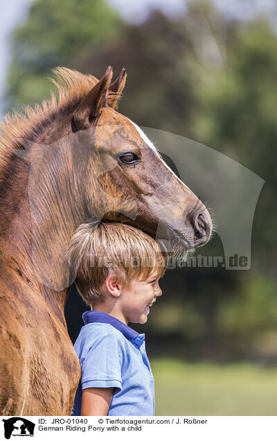 German Riding Pony with a child / JRO-01040
