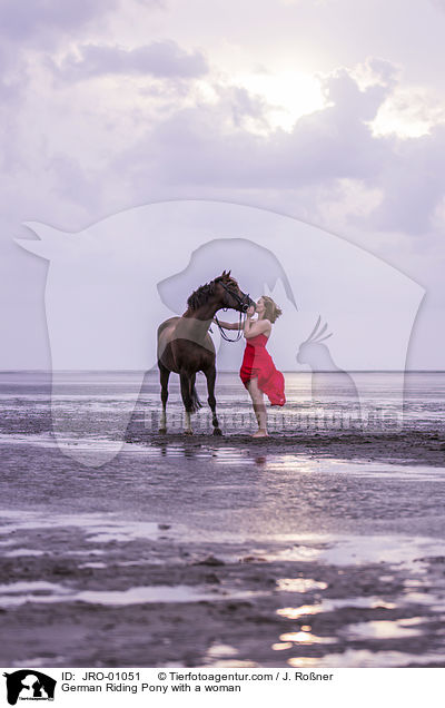 German Riding Pony with a woman / JRO-01051
