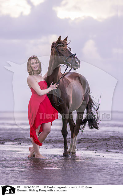 German Riding Pony with a woman / JRO-01052