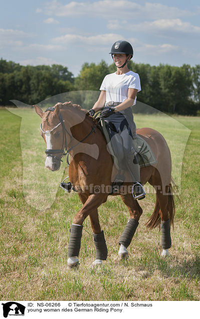 junge Frau reitet Deutsches Reitpony / young woman rides German Riding Pony / NS-06266