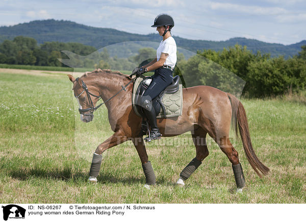 junge Frau reitet Deutsches Reitpony / young woman rides German Riding Pony / NS-06267