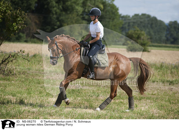 junge Frau reitet Deutsches Reitpony / young woman rides German Riding Pony / NS-06270