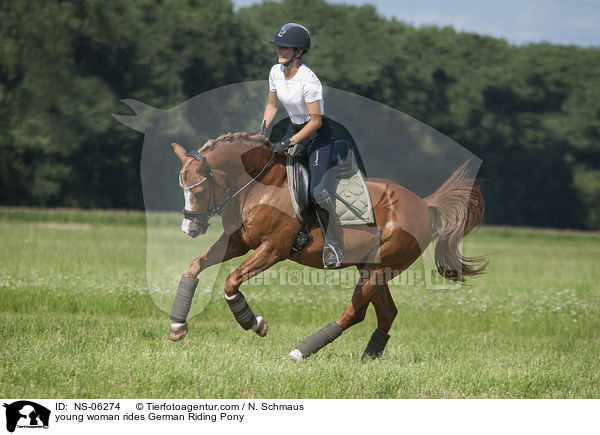junge Frau reitet Deutsches Reitpony / young woman rides German Riding Pony / NS-06274