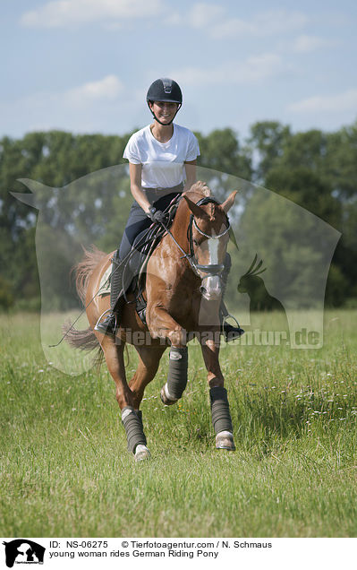 junge Frau reitet Deutsches Reitpony / young woman rides German Riding Pony / NS-06275