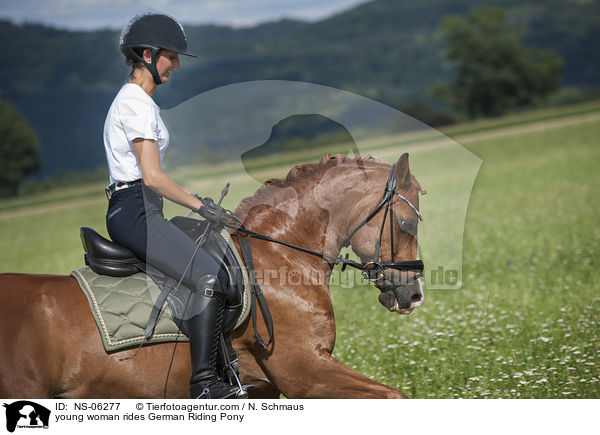 young woman rides German Riding Pony / NS-06277