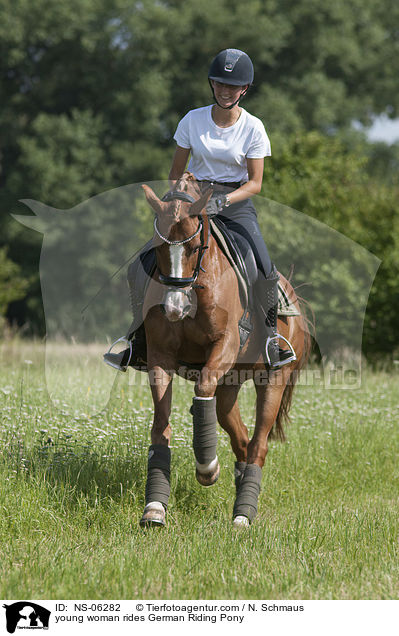 junge Frau reitet Deutsches Reitpony / young woman rides German Riding Pony / NS-06282