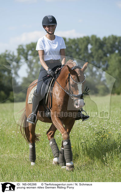 young woman rides German Riding Pony / NS-06286