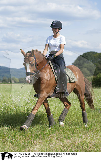 junge Frau reitet Deutsches Reitpony / young woman rides German Riding Pony / NS-06288