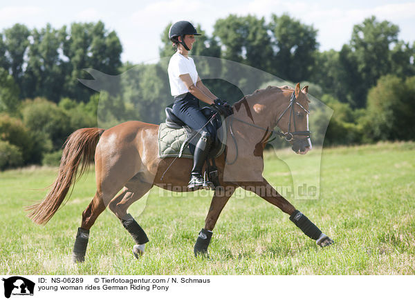 junge Frau reitet Deutsches Reitpony / young woman rides German Riding Pony / NS-06289
