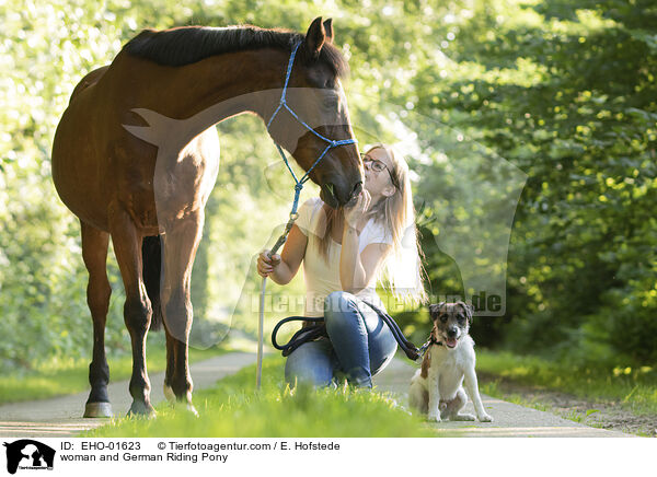 woman and German Riding Pony / EHO-01623