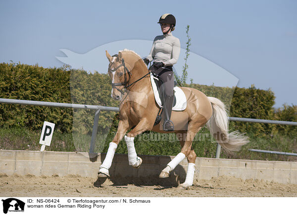 Frau reitet Deutsches Reitpony / woman rides German Riding Pony / NS-06424