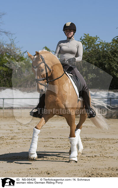 Frau reitet Deutsches Reitpony / woman rides German Riding Pony / NS-06426