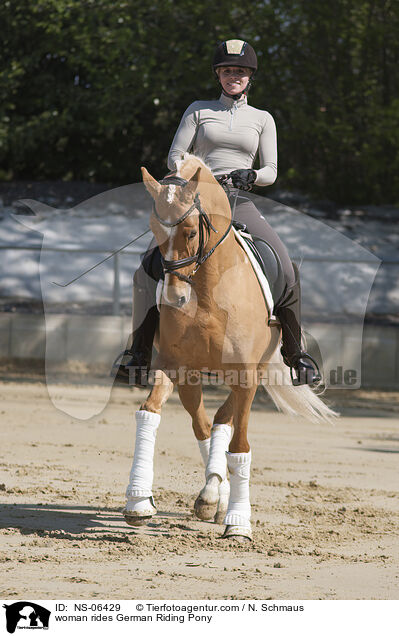 Frau reitet Deutsches Reitpony / woman rides German Riding Pony / NS-06429