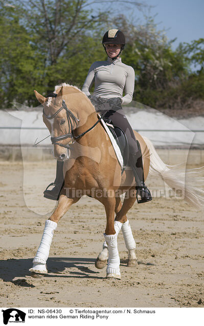 Frau reitet Deutsches Reitpony / woman rides German Riding Pony / NS-06430