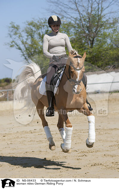 Frau reitet Deutsches Reitpony / woman rides German Riding Pony / NS-06433