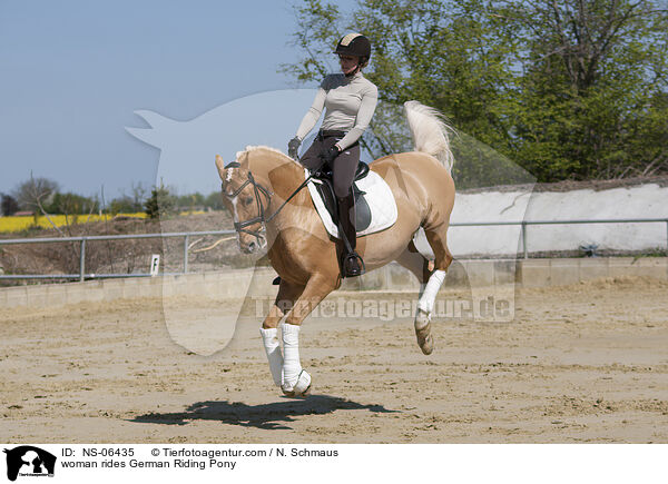 woman rides German Riding Pony / NS-06435