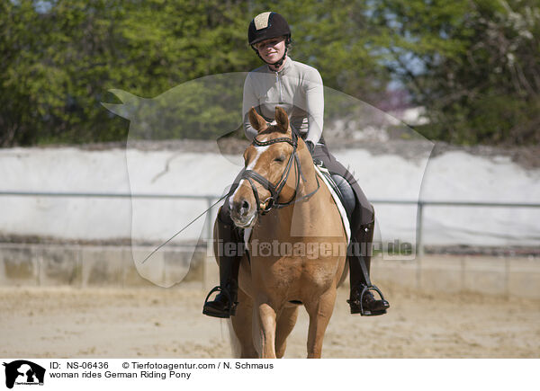 Frau reitet Deutsches Reitpony / woman rides German Riding Pony / NS-06436