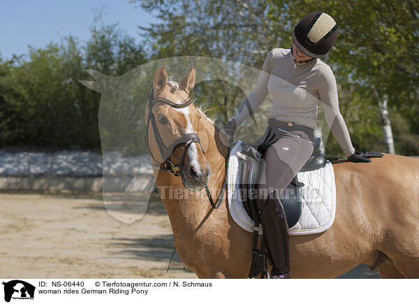 Frau reitet Deutsches Reitpony / woman rides German Riding Pony / NS-06440