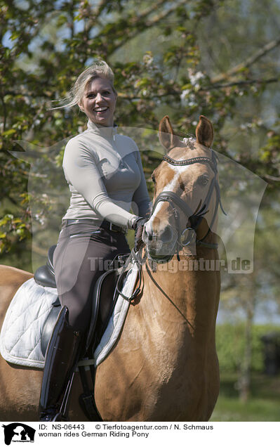 Frau reitet Deutsches Reitpony / woman rides German Riding Pony / NS-06443