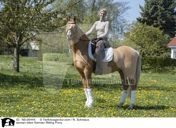 Frau reitet Deutsches Reitpony / woman rides German Riding Pony / NS-06444