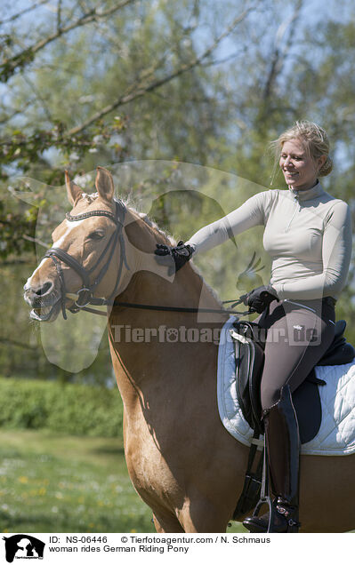 Frau reitet Deutsches Reitpony / woman rides German Riding Pony / NS-06446