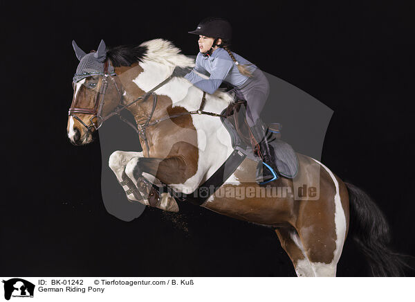 Deutsches Reitpony / German Riding Pony / BK-01242