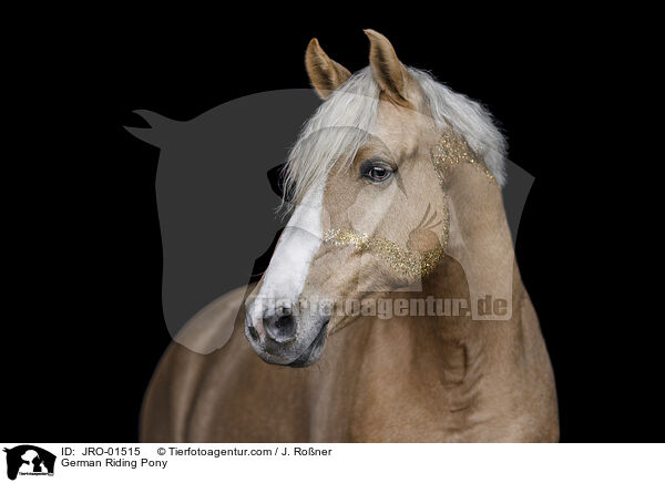 Deutsches Reitpony / German Riding Pony / JRO-01515