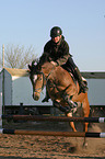 showjumping training