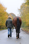 young woman with horse