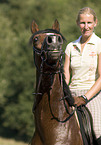 pony stallion under saddle