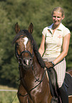 pony stallion under saddle