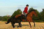 woman rides Pony