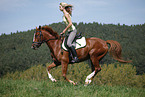 running horse