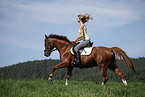 running horse