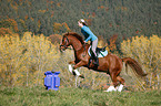 jumping with pony