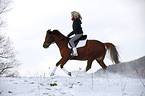 Pony