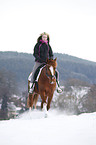 Pony