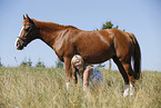 woman with horse