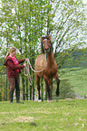 woman and German Riding Pony